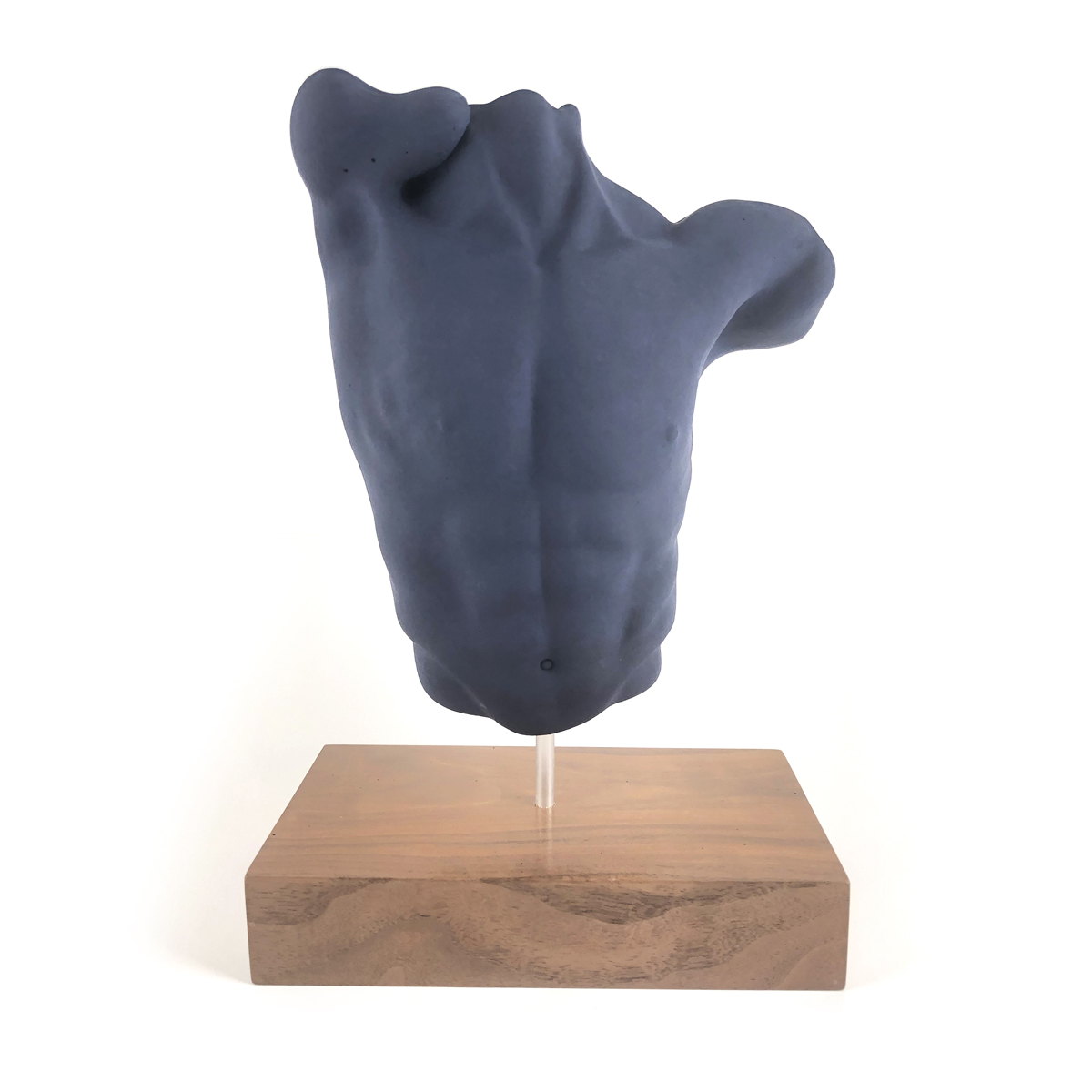 Male Torso with base #005