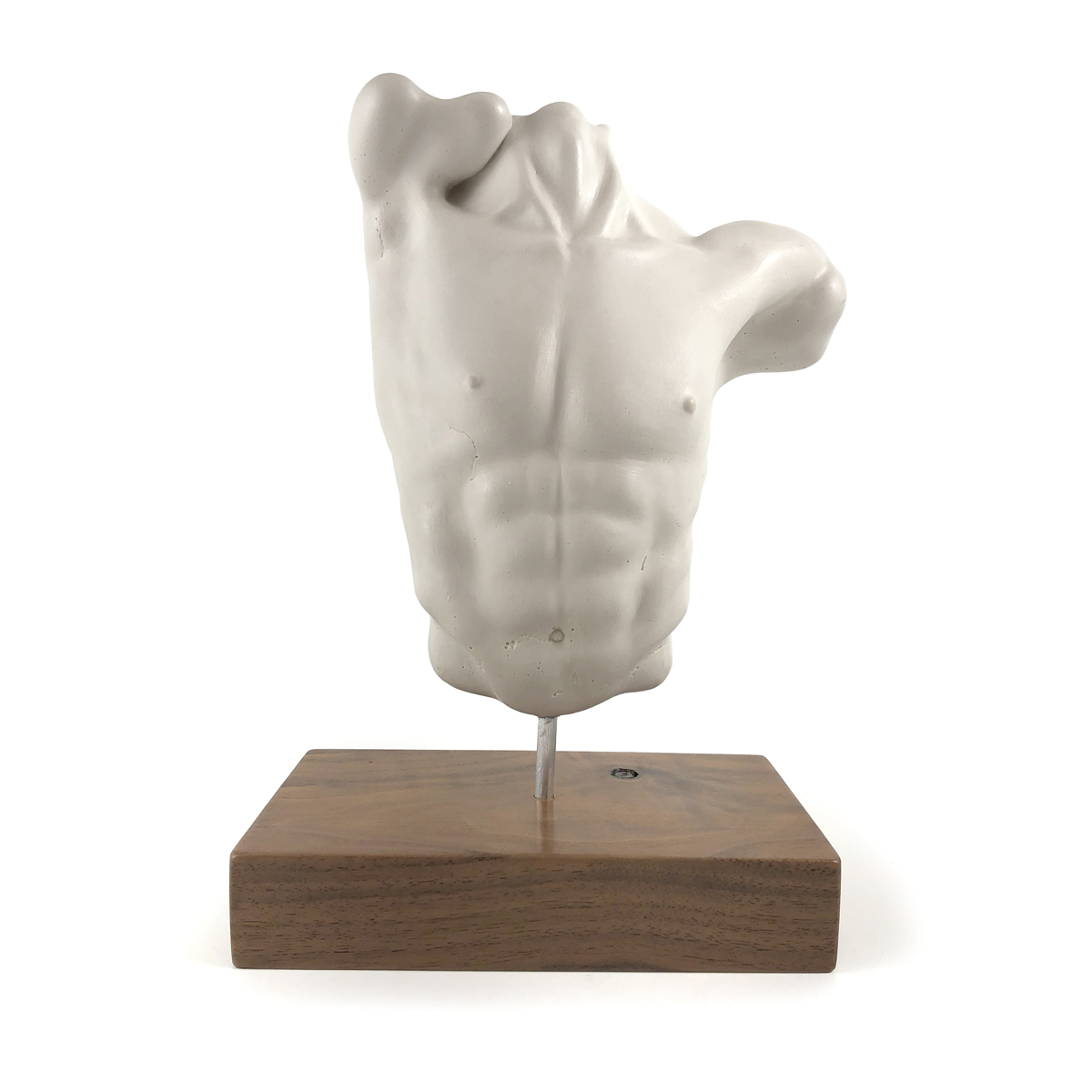 Male Torso with base #007