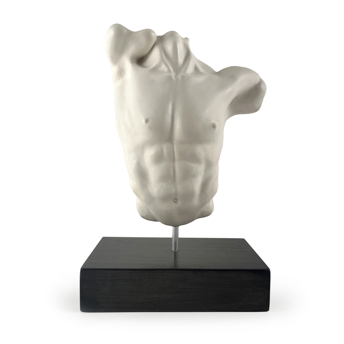 Male Torso with base #008
