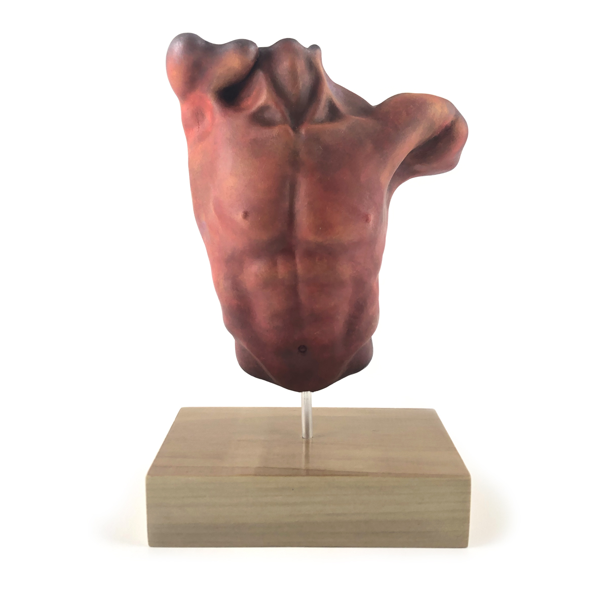 Male Torso with base #010