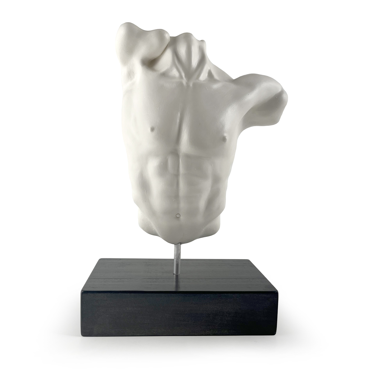 Male Torso with base #013
