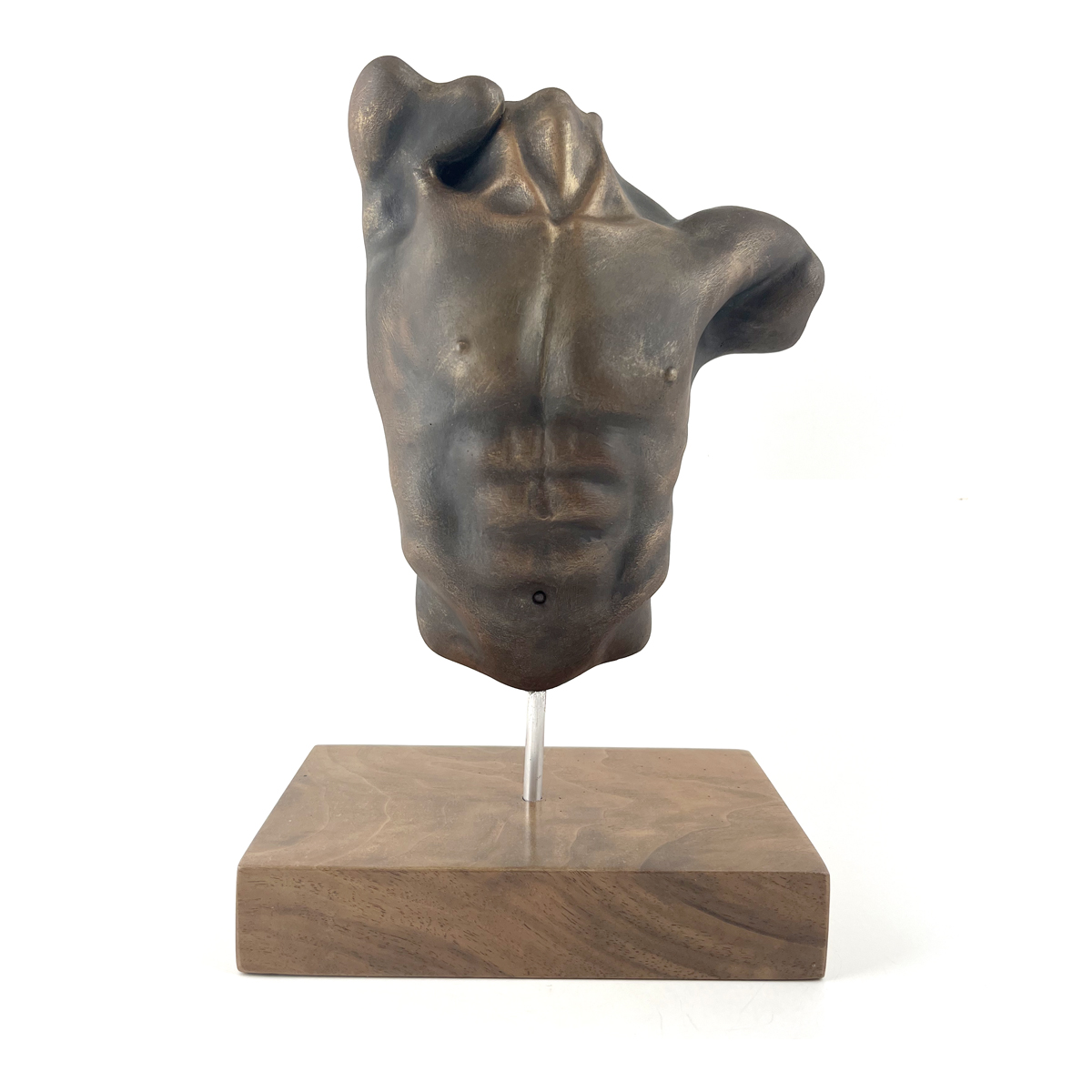 Male Torso with base #015